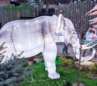 فانوس های شکل حیوانات با کیفیت بالا